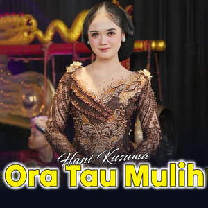 Ora Tau Mulih