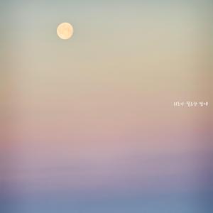 위로가 필요한 밤에