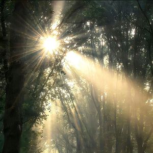 [免费可商用]]再生「环游宇宙 意识流 88lien 淮河 泡椒花生」