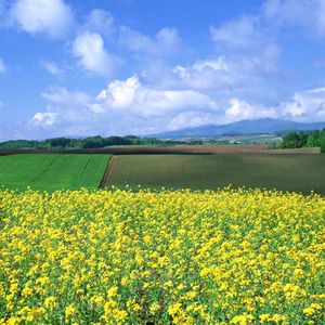 我们只是刚好错过