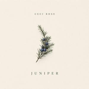Juniper