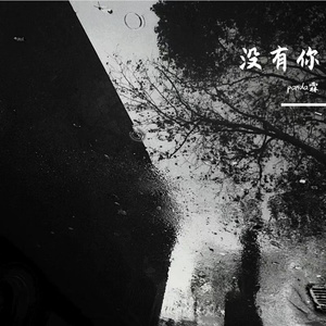 没有你（prod by:No Birthday）