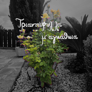 Τριαντάφυλλα Μ' Αγκάθκια