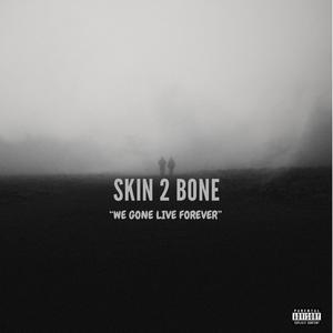 SKIN 2 BONE (OFFICIAL AUDIO)