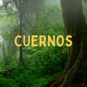 Cuernos