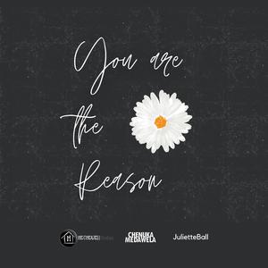 You Are The Reason (Cover Version)