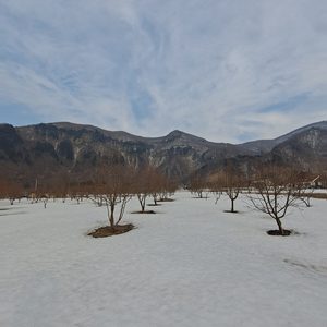 잊혀지고 싶지 않아