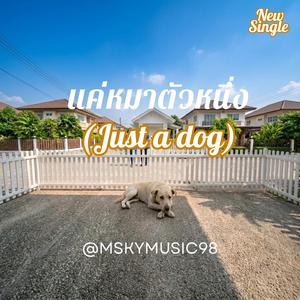เพลง แค่หมาตัวหนึ่ง