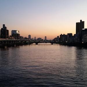 i could stay here forever