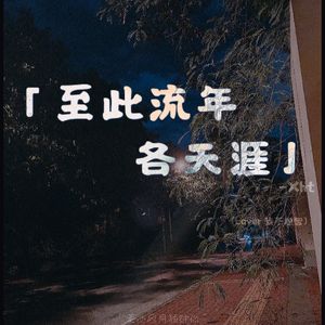 至此流年各天涯【吉他弹唱】（cover 我不理智）