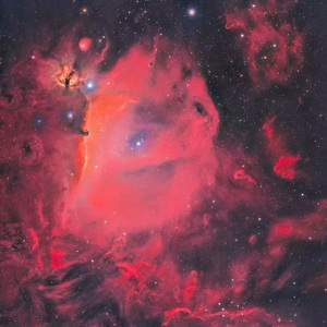 科学怪人的房间