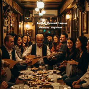 Meyhane Meyanları
