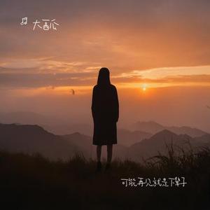 可能再见就是下辈子