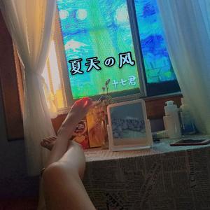 夏天的风（温柔版）