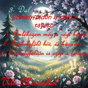 Emlékszem még a régi házra