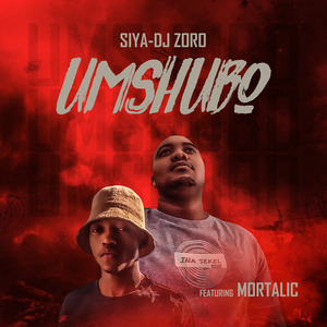 Umshubo