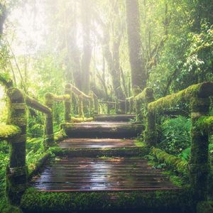 魔法城堡（钢琴曲）