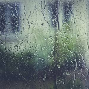Rain Flows