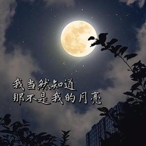 我当然知道那不是我的月亮