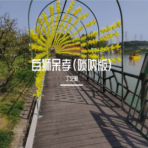 白狮呆孝(唢呐版)