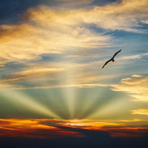 The Sky