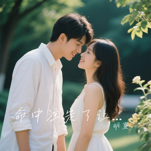 命中注定了让你遇见我（Live）