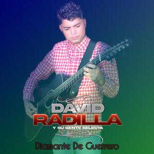 Diamante De Guerrero