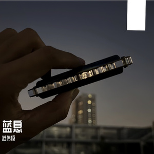 鸟之诗（口琴cover）