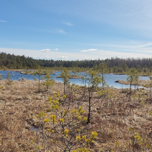 Grįžtame į Gamtą (feat. Vika Ray)