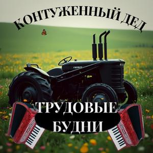 Лысая башка