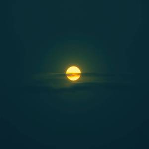 그림자와 빛 (feat. mback)