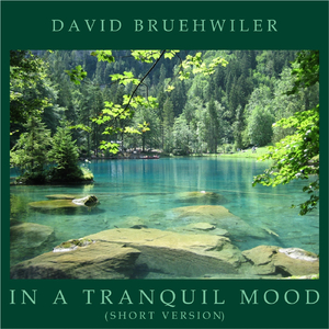 In a Tranquil Mood (Short Version)