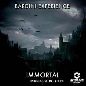 BARDINI EXPERIENCE (immortal hardgroove bootleg)