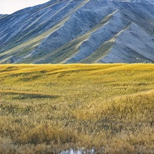 父亲的草原母亲的河