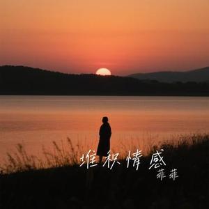堆积情感 (Cover 赵十三)