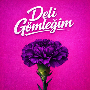 Deli Gömleğim