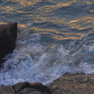 立秋就别想夏天的事了