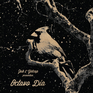 Olvidamos (Lo Esencial)