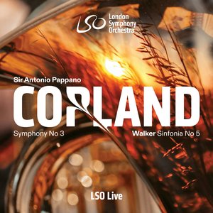 Symphony No. 3: II. Allegro molto
