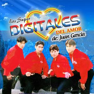 HUELLAS IMBORRABLES