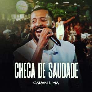 Chega de saudade