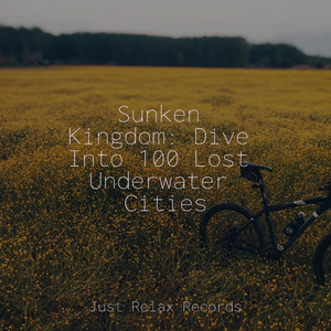 Solitary Flight of Wonder