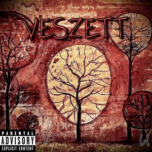 VESZETT