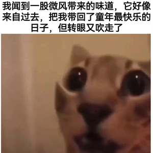 shawty forget remakeby tru hustler