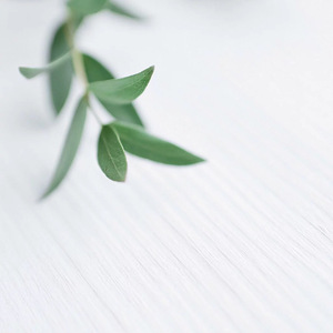 落（女生版） （翻自 艾辰）（翻自 艾辰）