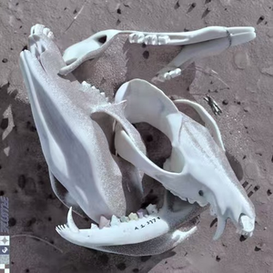 Rushing Back (KLAXX Remix)