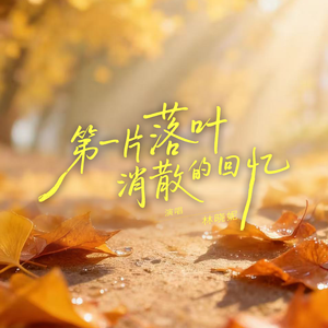 第一片落叶消散的回忆