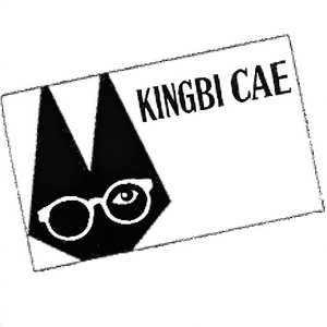 CAE