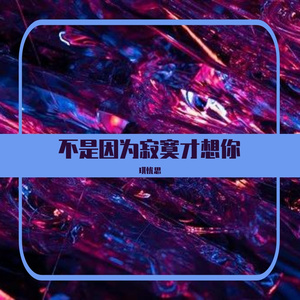 不是因为寂寞才想你（烟嗓版）