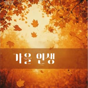 코스모스 피는 길